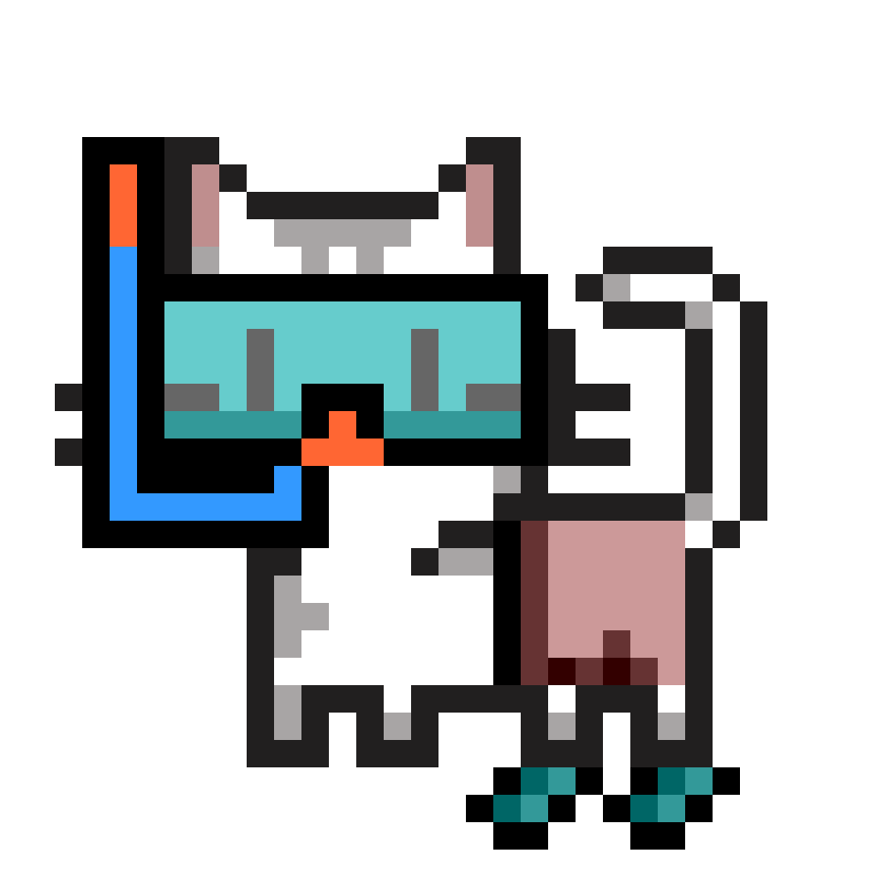 cat-card