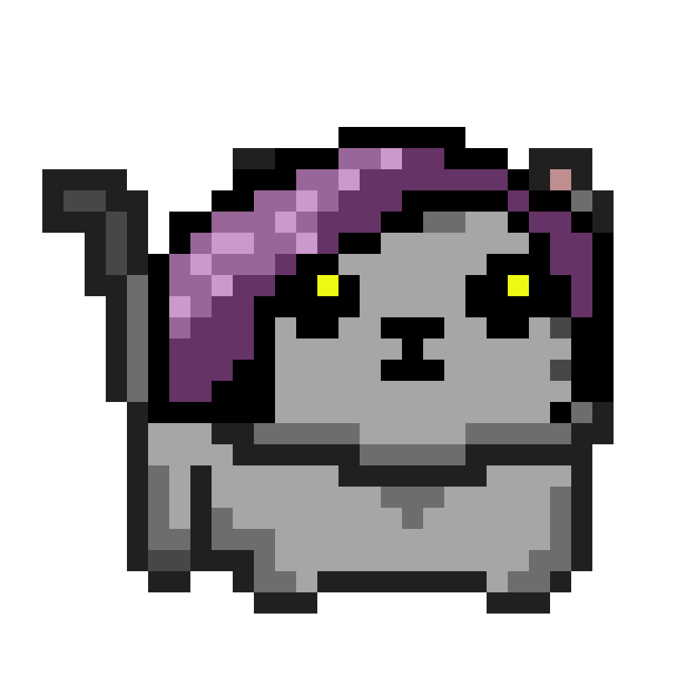 cat-card