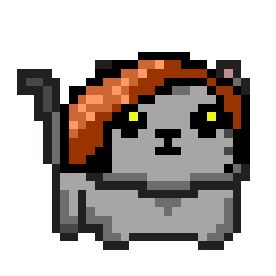 cat-card
