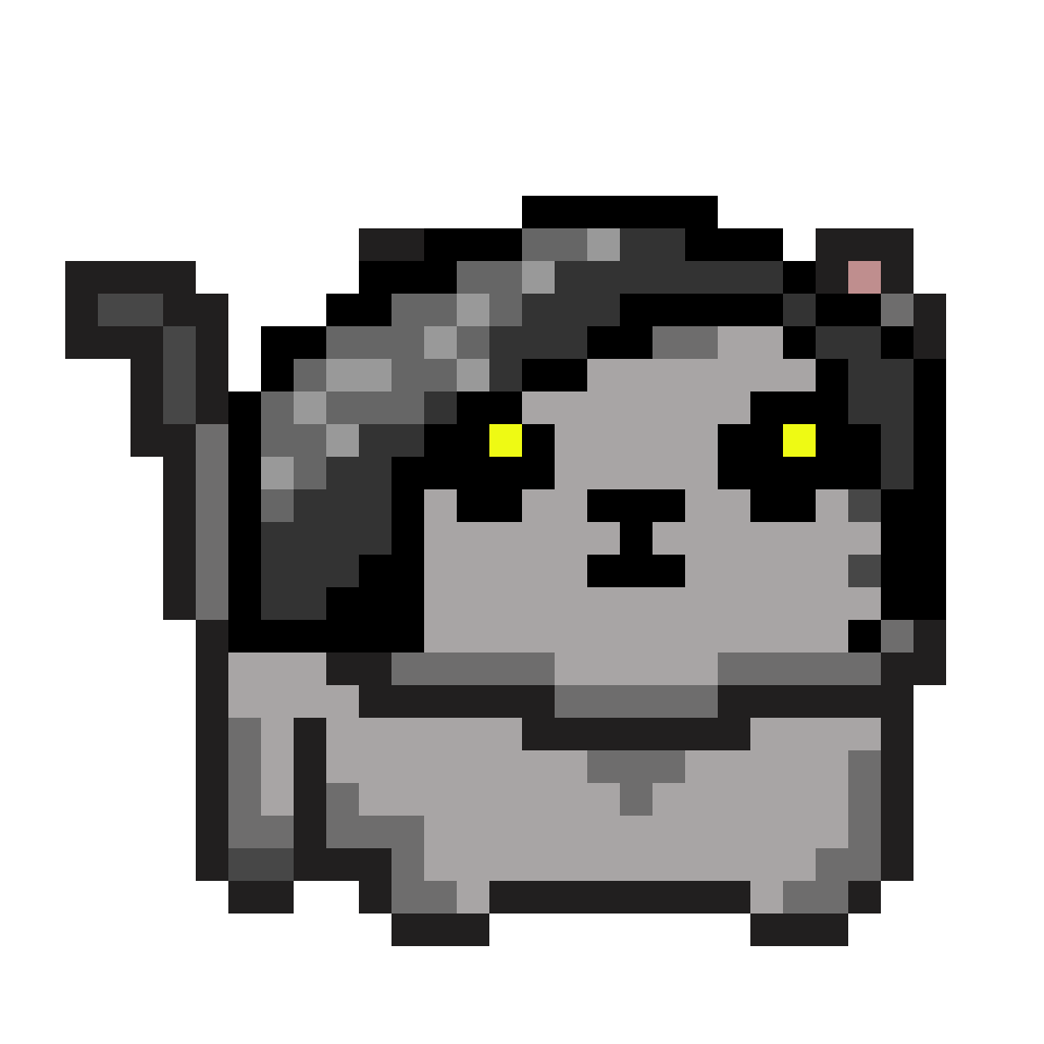 cat-card