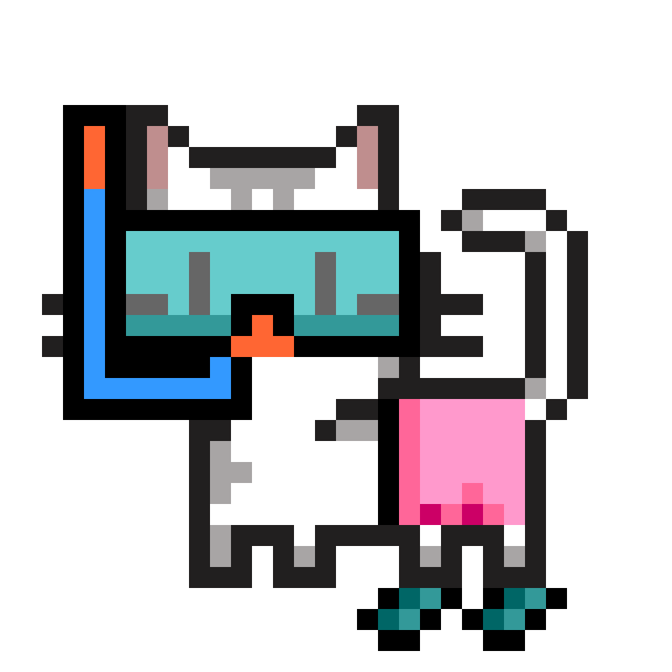 cat-card