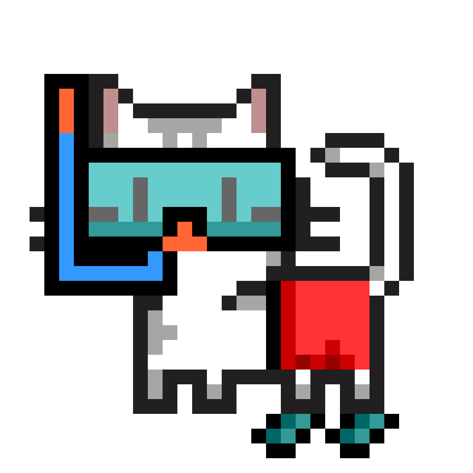 cat-card