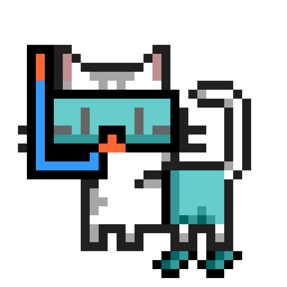 cat-card